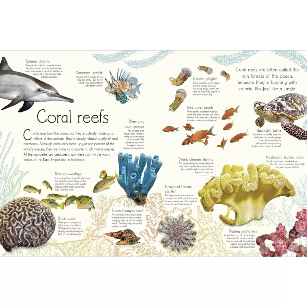 Penguin Random House Books For Children>An Anthology Of Aquatic Life