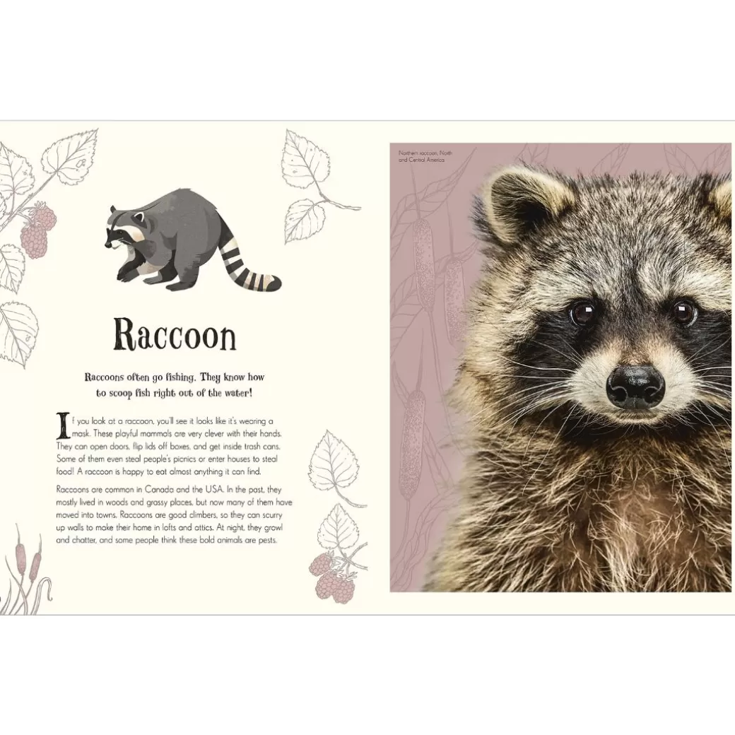 Penguin Random House Books For Children>An Anthology Of Intriguing Animals