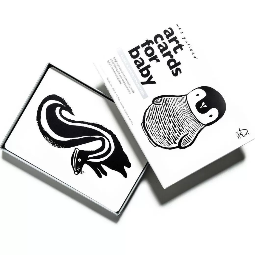 Wee Gallery Early Learning>Black-And-White Collection Art Flashcards