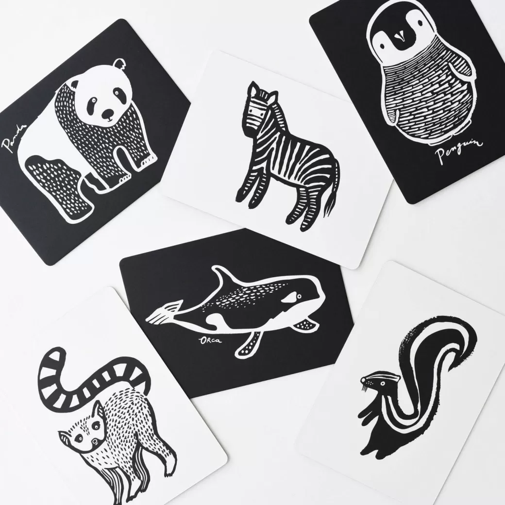 Wee Gallery Early Learning>Black-And-White Collection Art Flashcards