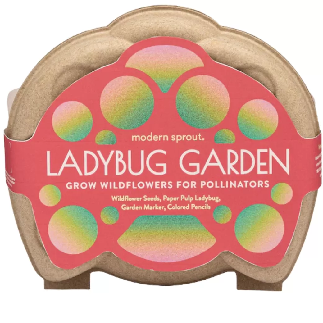 Modern Sprout Waldorf Home>Curious Critter Ladybug Garden Kit