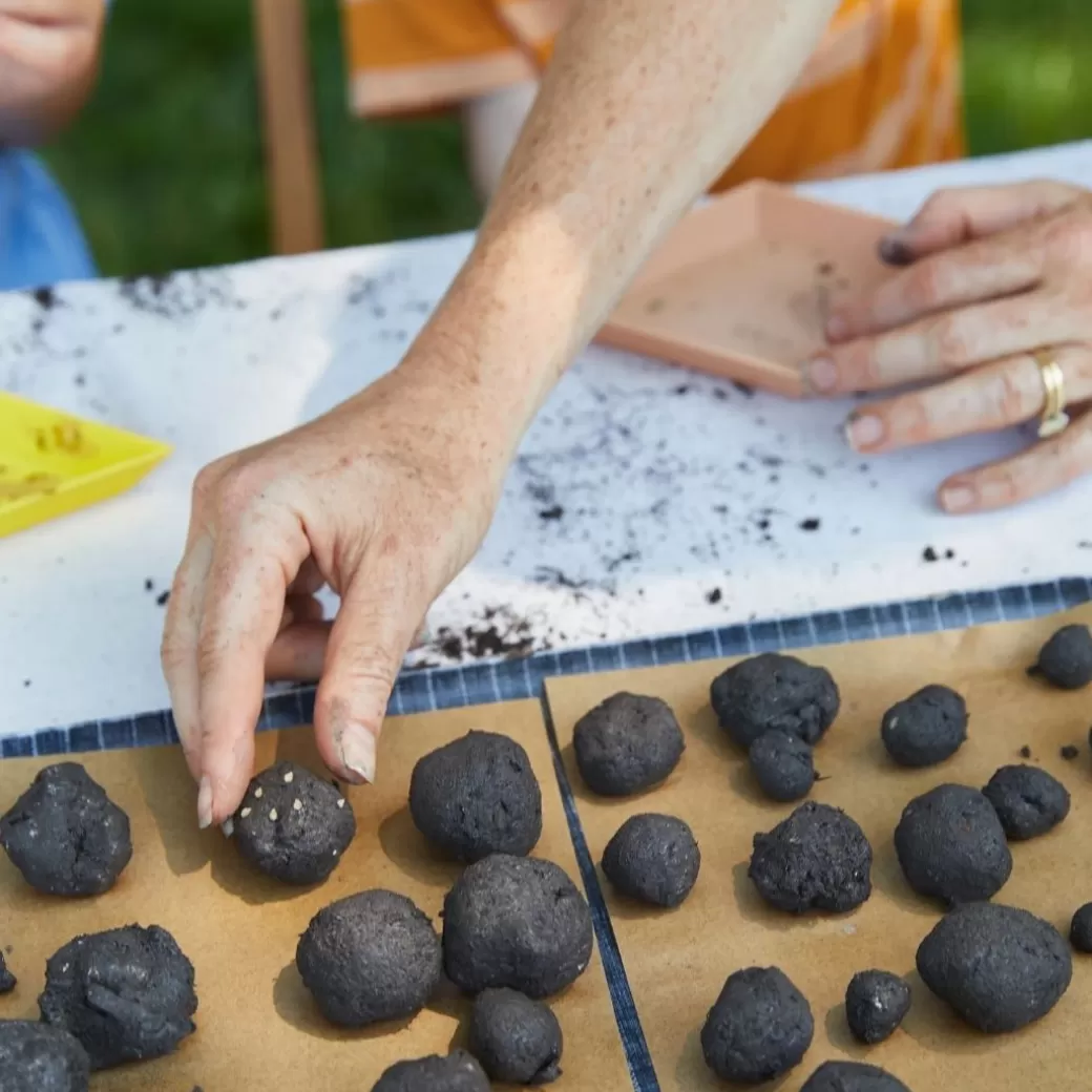 Modern Sprout Waldorf Home>Diy Seed Ball Kit - Pizza Garden