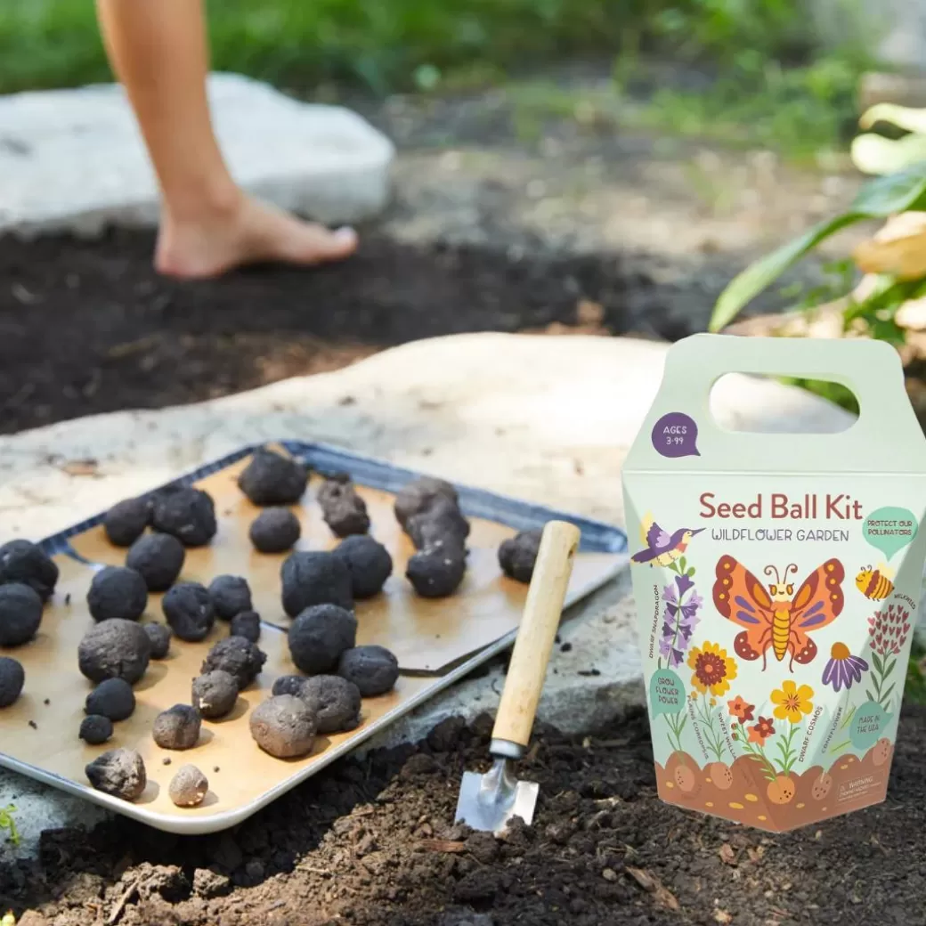 Modern Sprout Waldorf Home>Diy Seed Ball Kit Wildflower Garden