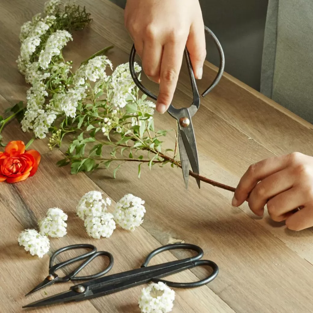 Kikkerland Design Waldorf Home>Garden Scissor Set