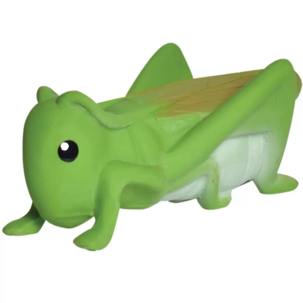 Tikiri Toys Rattles & Grasping Toys>Grasshopper Bath Toy And Teether