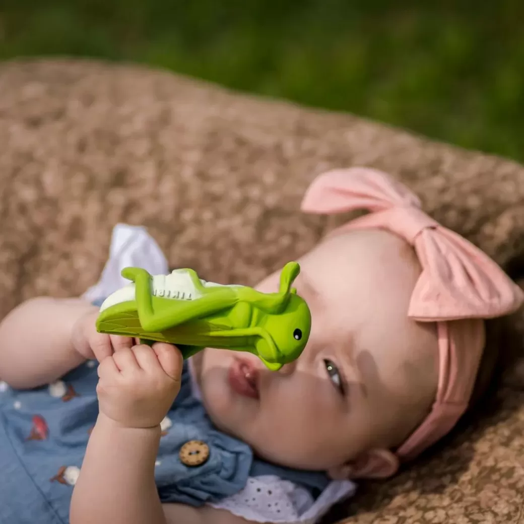 Tikiri Toys Rattles & Grasping Toys>Grasshopper Bath Toy And Teether