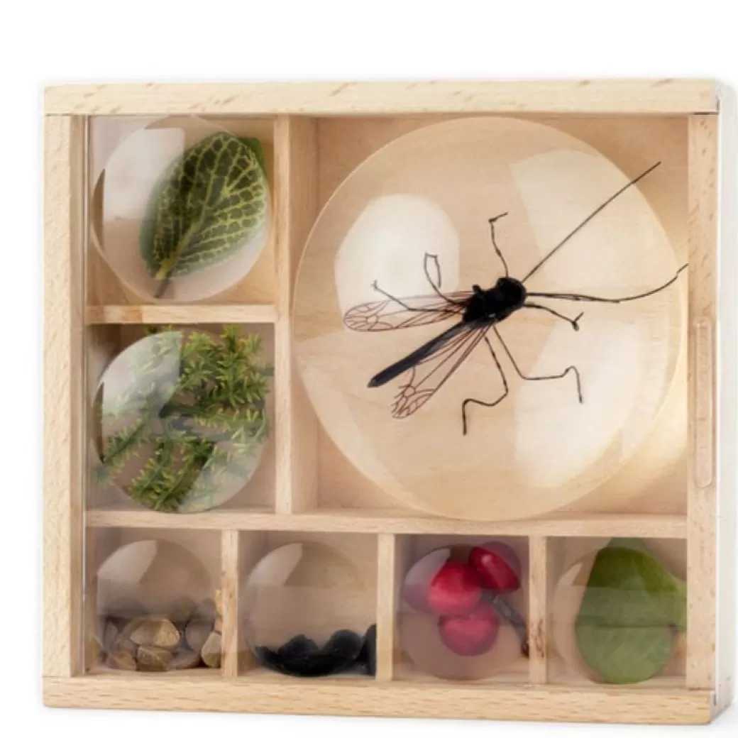 Kikkerland Design Early Learning>Huckleberry Bug Box