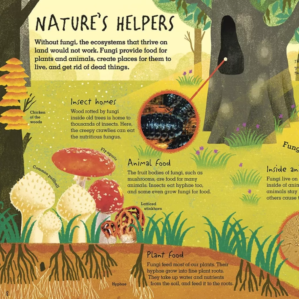 Penguin Random House Books For Children>Humongous Fungus