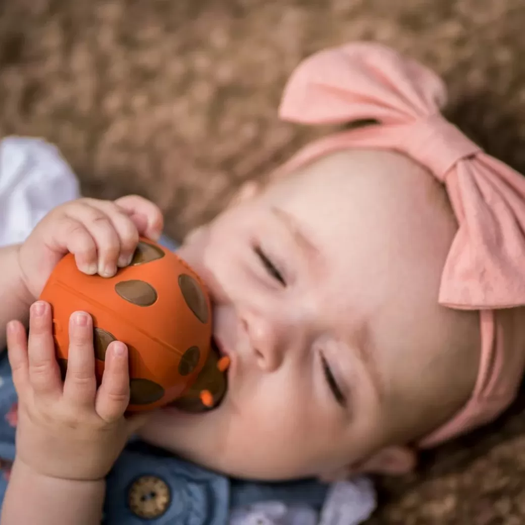 Tikiri Toys Rattles & Grasping Toys>Lady Bug Bath Toy And Teether