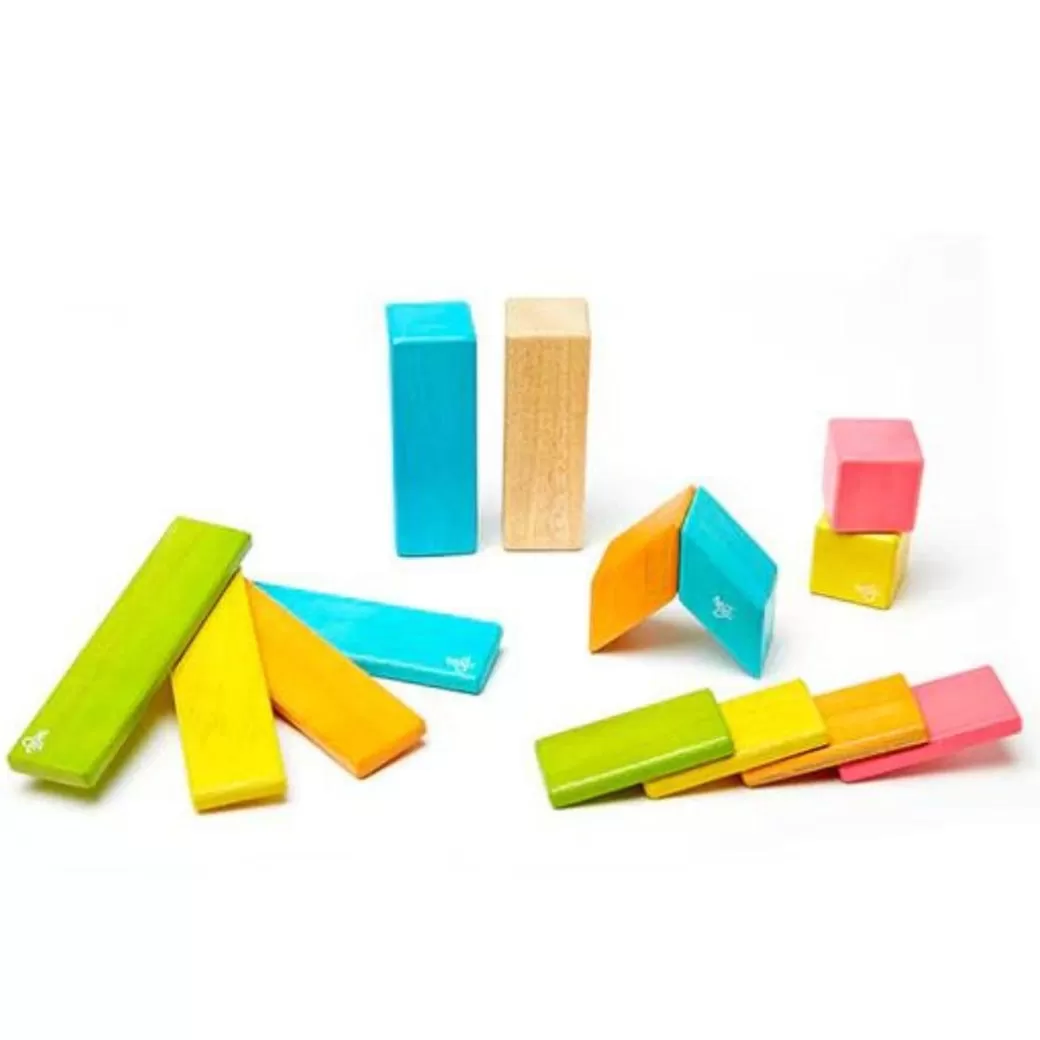 Tegu Magnetic Blocks>Magnetic Wooden Blocks - 14 Piece Set Tints