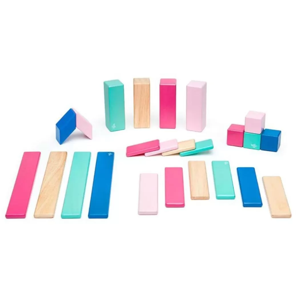 Tegu Magnetic Blocks>Magnetic Wooden Blocks - 24 Piece Set Blossom