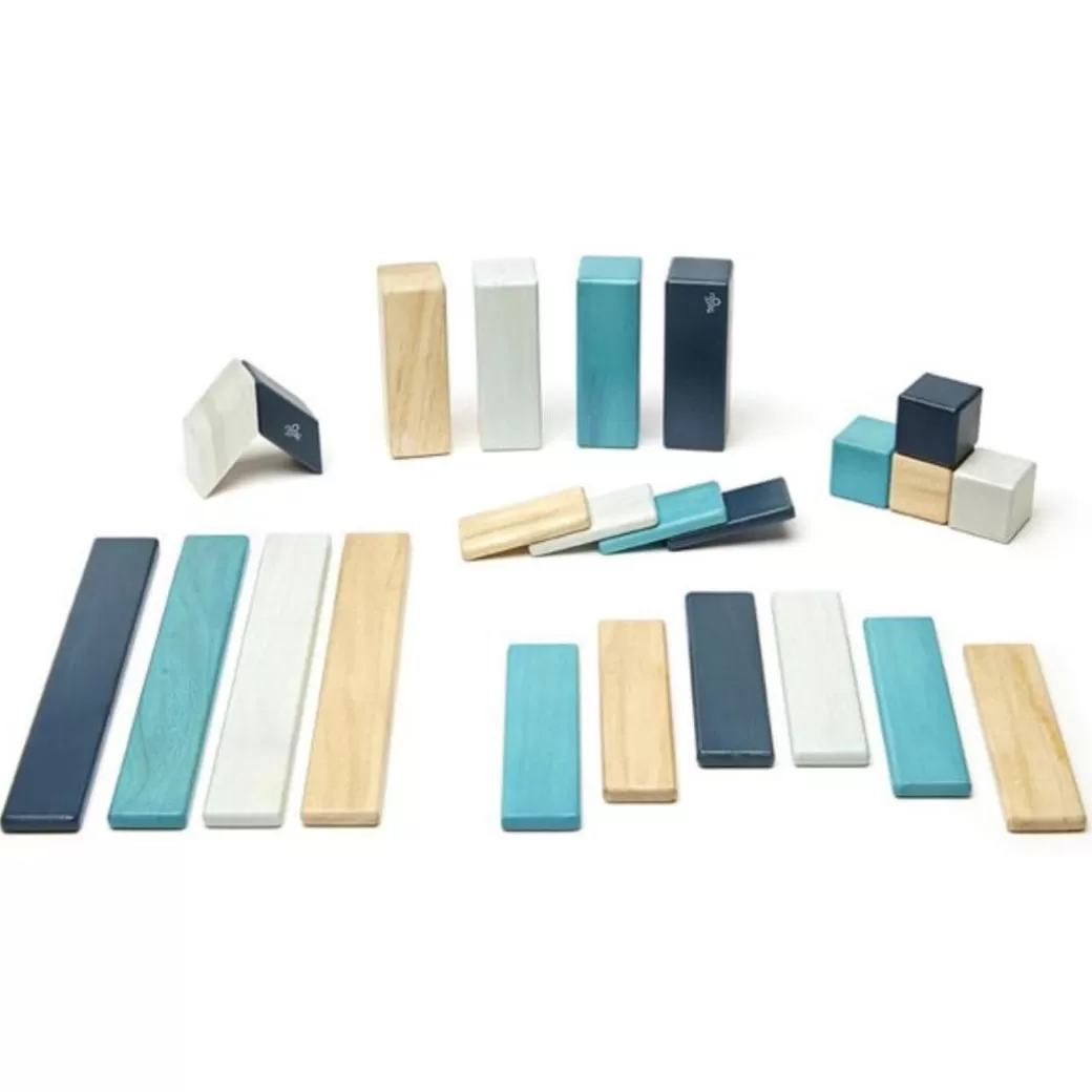 Tegu Wooden Blocks>Magnetic Wooden Blocks - 24 Piece Set Blues