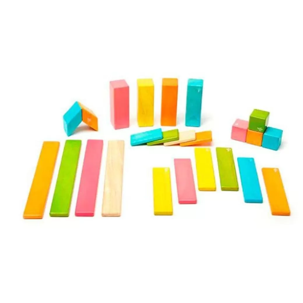 Tegu Magnetic Blocks>Magnetic Wooden Blocks - 24 Piece Set Tints