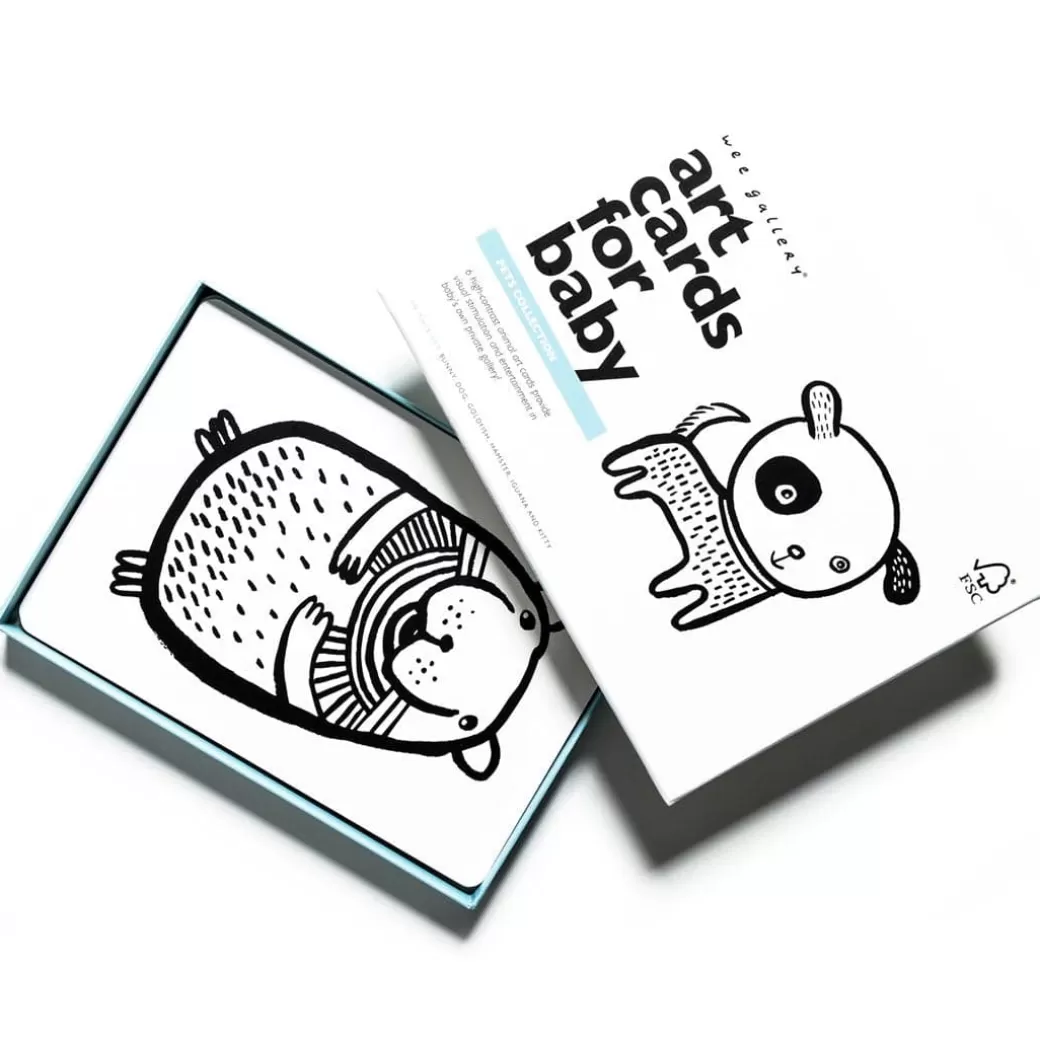 Wee Gallery Early Learning>Pet Collection Art Flashcards