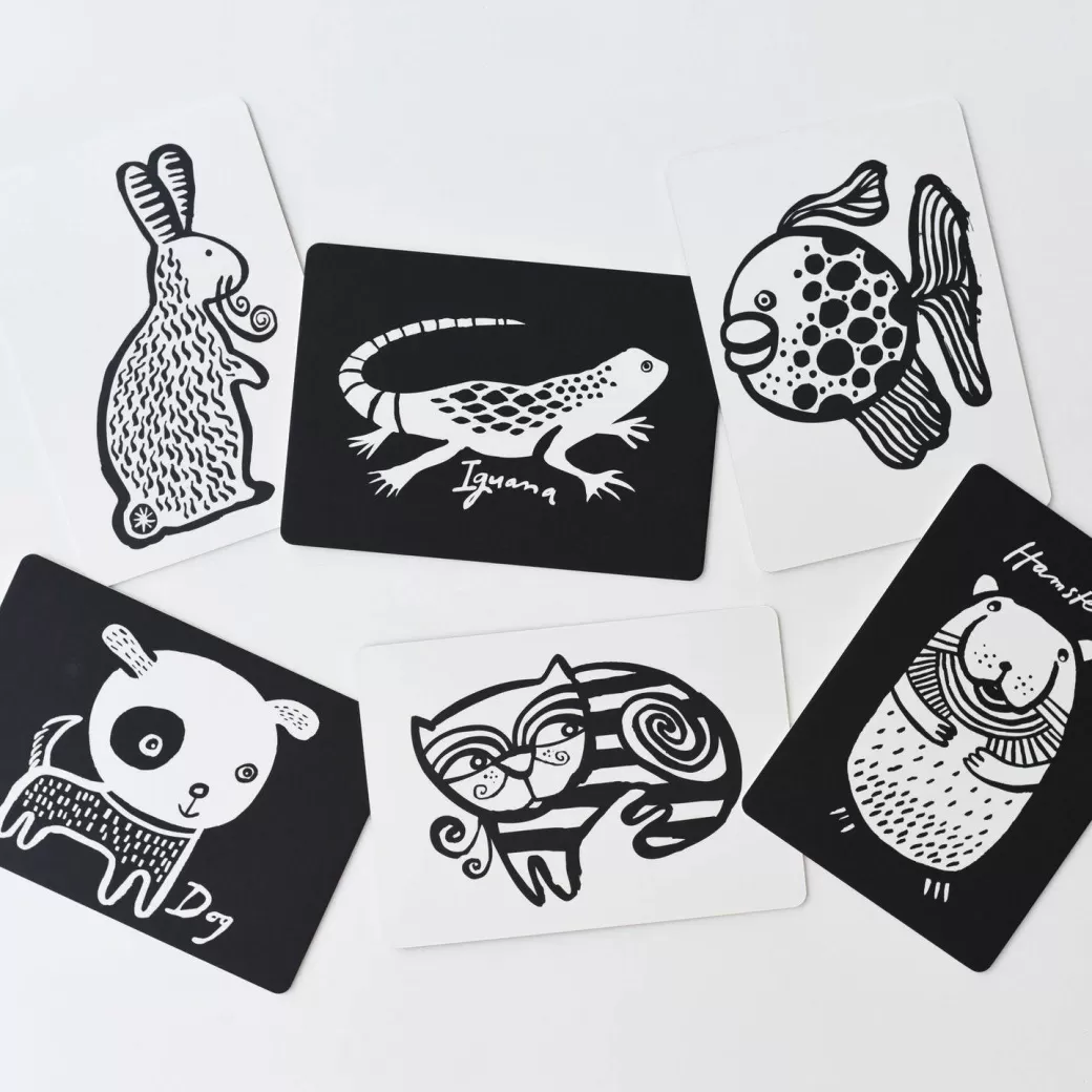 Wee Gallery Early Learning>Pet Collection Art Flashcards