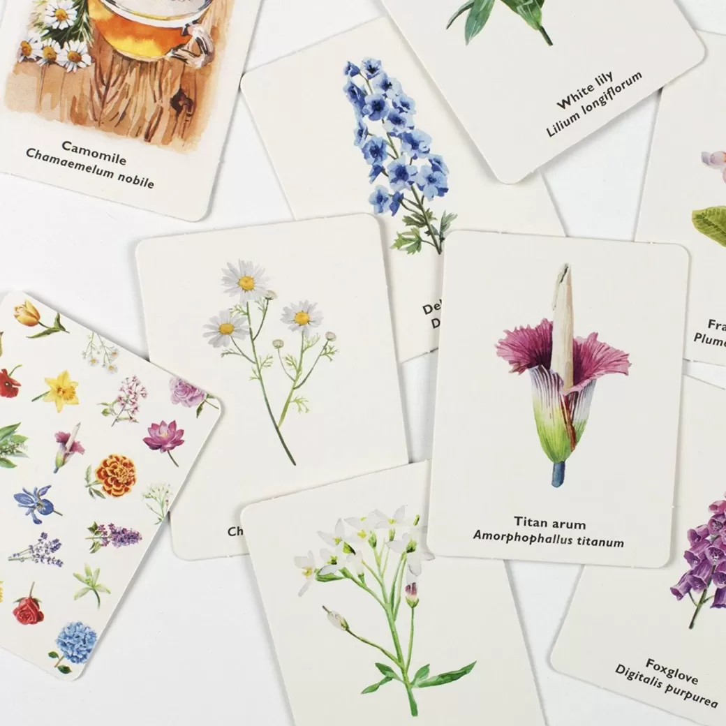 LK Publishing Early Learning>Pick A Flower Memory Card Game