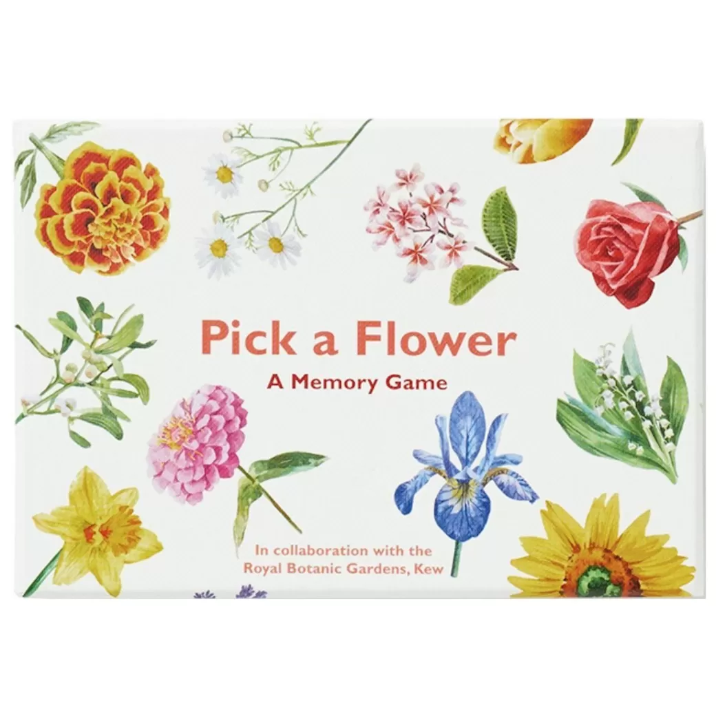 LK Publishing Early Learning>Pick A Flower Memory Card Game