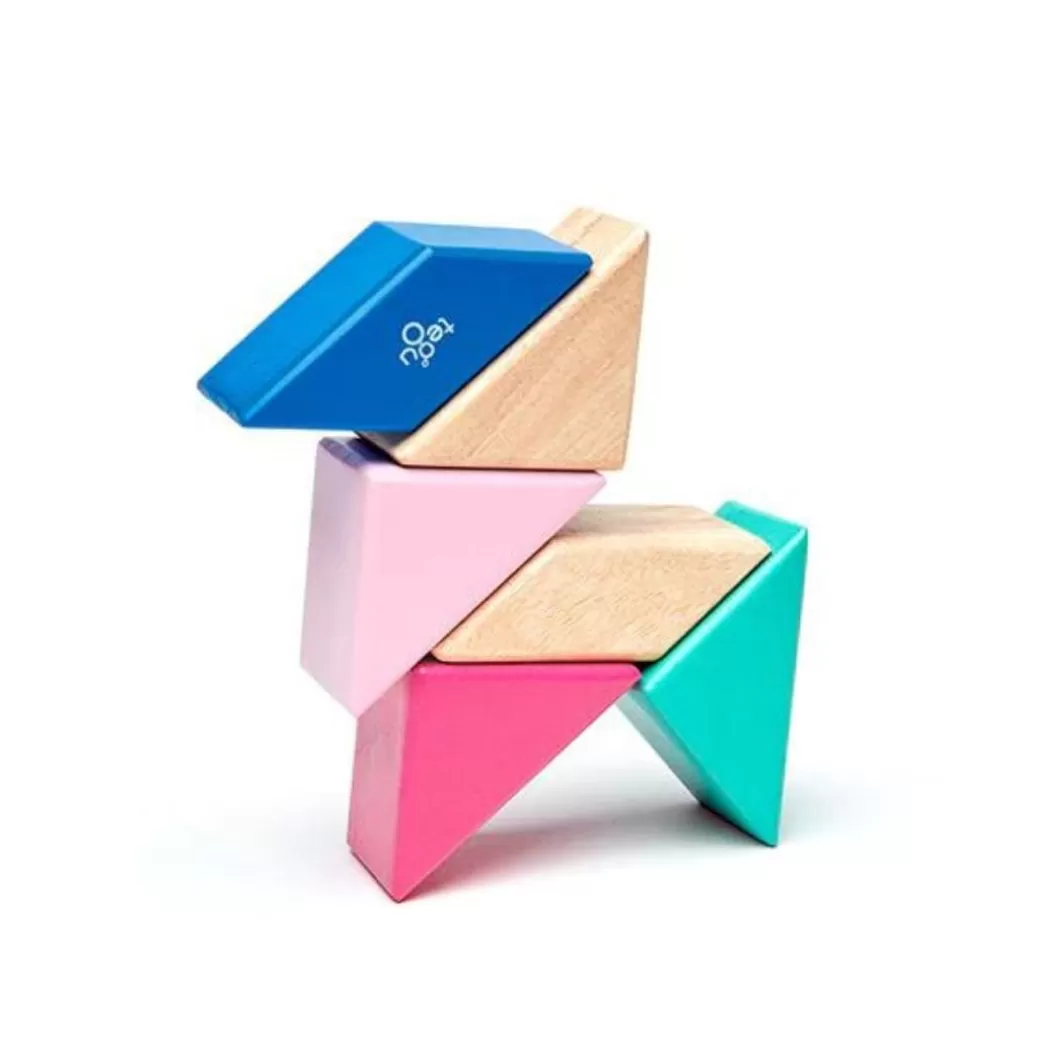 Tegu Wooden Blocks>Pocket Pouch Prism Wooden Magnetic Blocks - Blossom