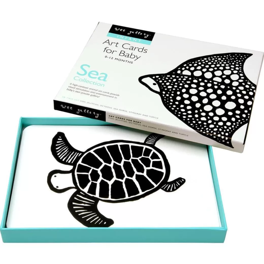 Wee Gallery Early Learning>Sea Collection Art Flashcards