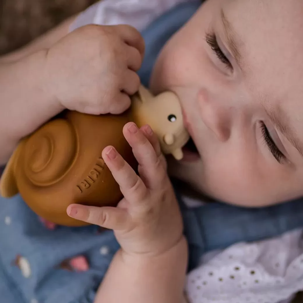 Tikiri Toys Rattles & Grasping Toys>Snail Bath Toy And Teether