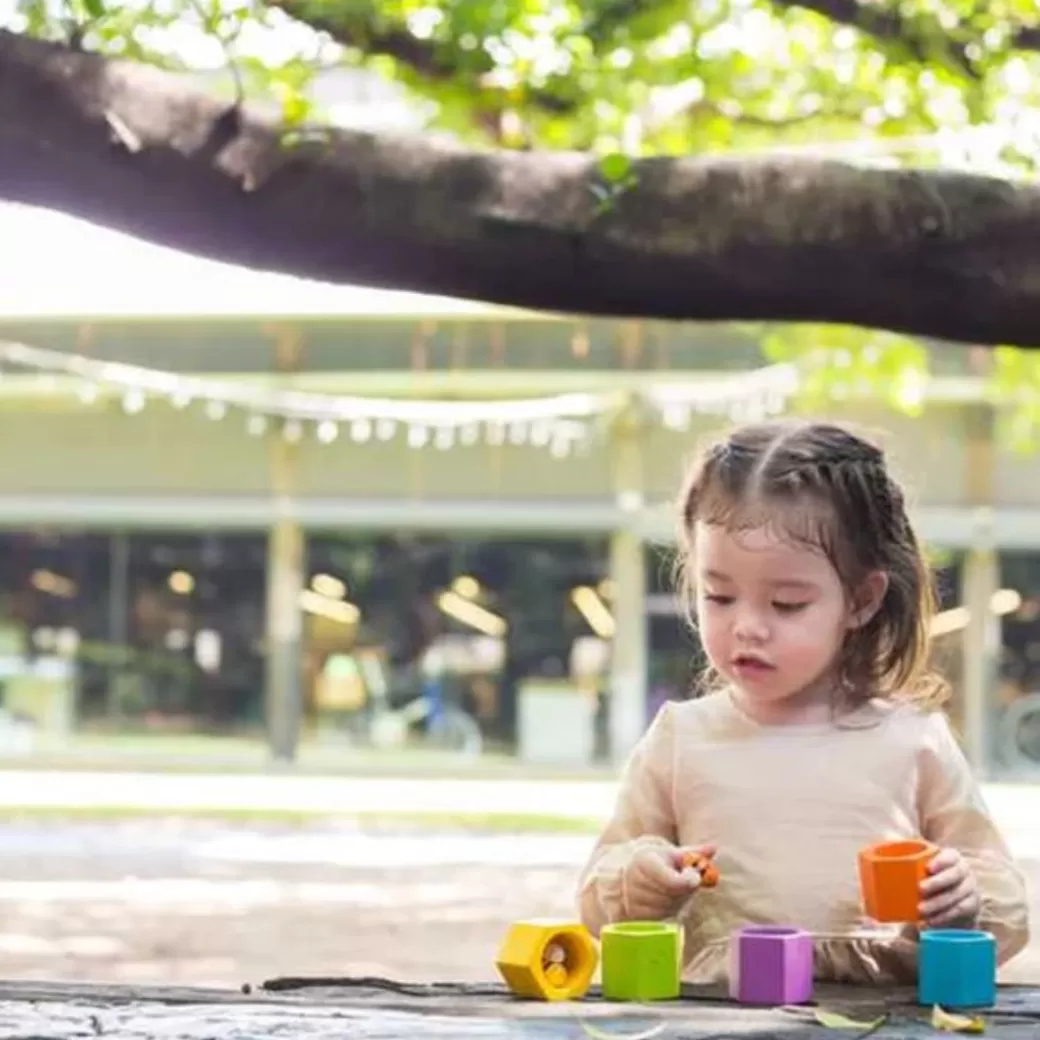 PlanToys Early Learning>Wooden Beehives Puzzle Game